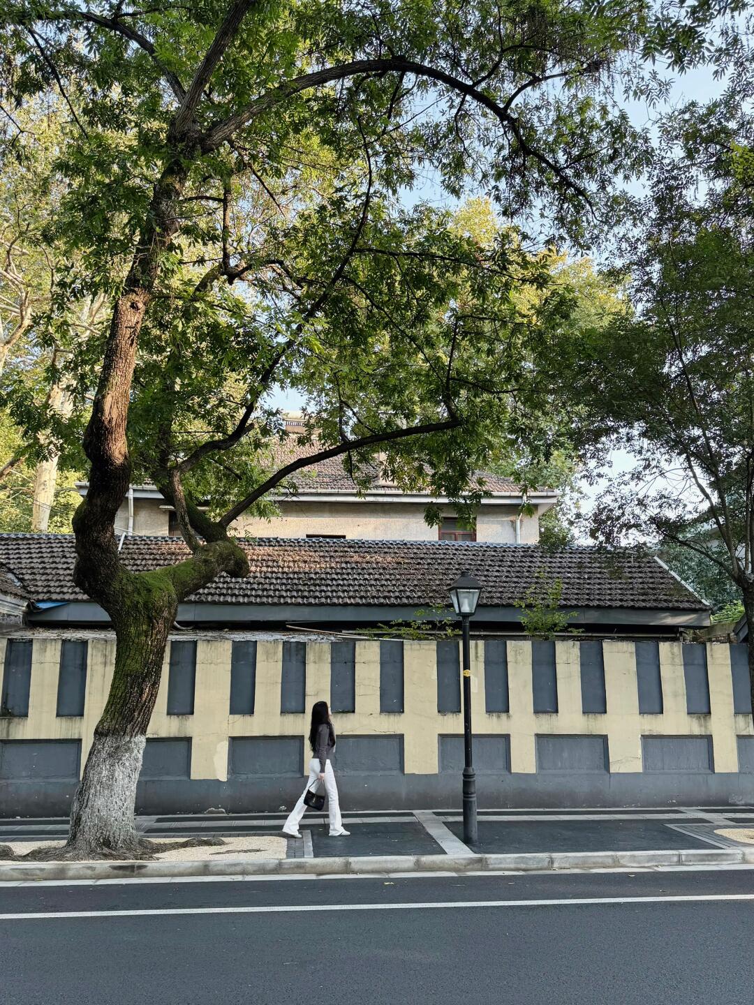 image_2.jpg