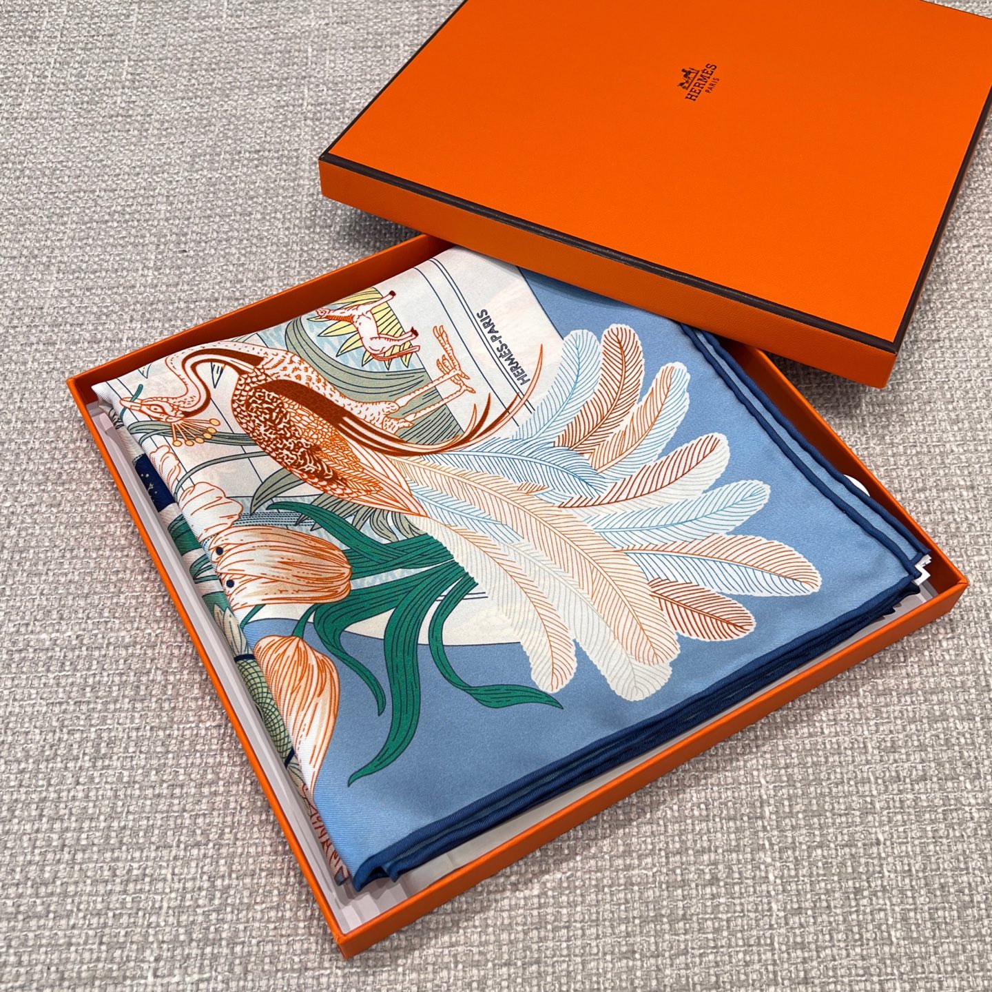image_8.jpg