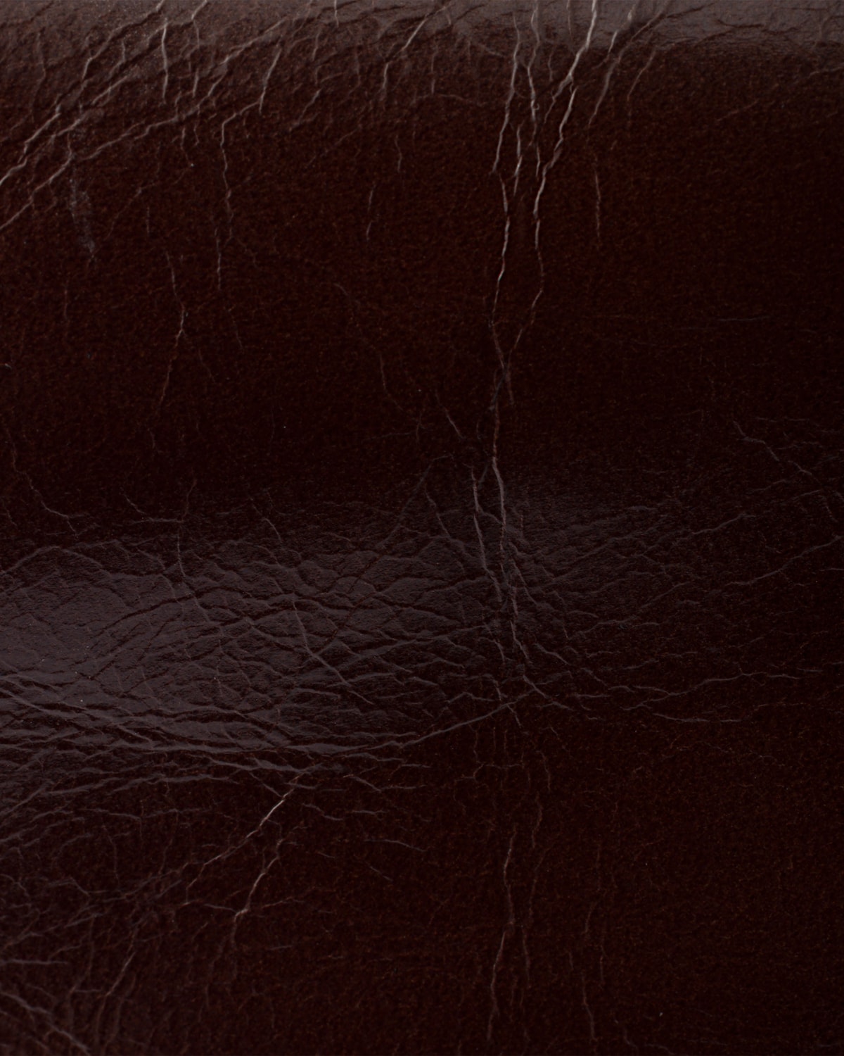 image_6.jpg